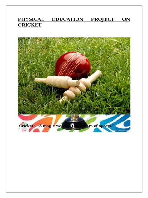 physical education project file on cricket